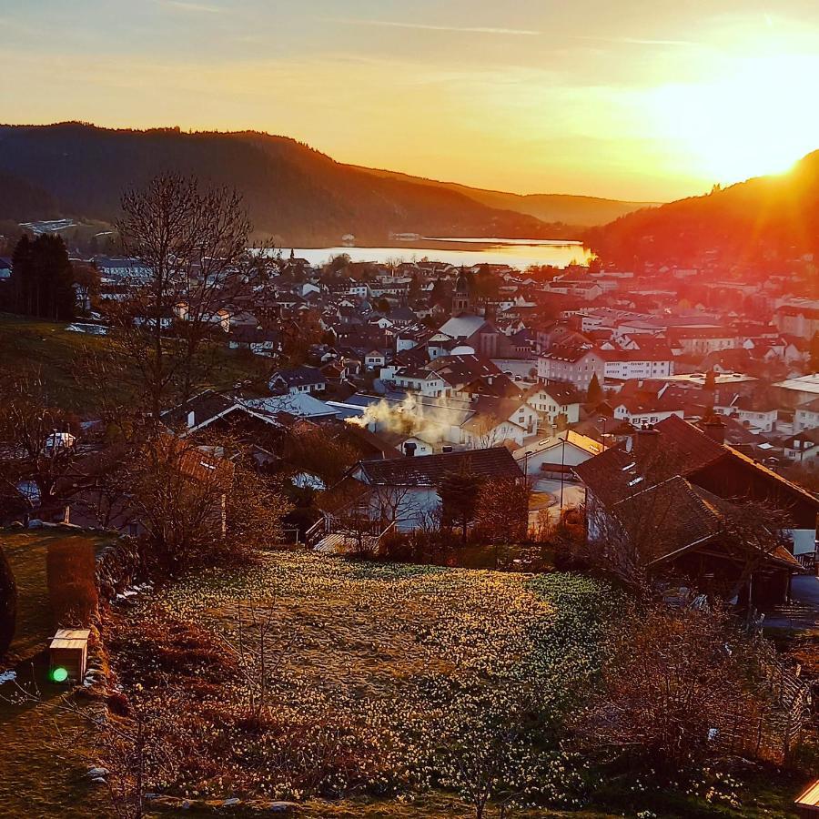 Aux Bonheurs Du Lac Gerardmer Bagian luar foto